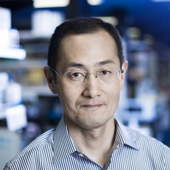 In this picture 2012 Millennium Prize Winner Professor Shinya Yamanaka who's innovation is Ethical stem cells research